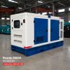 Máy phát điện Ricardo 200kVA mới chính hãng